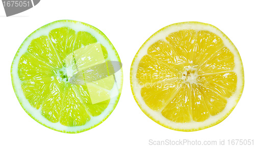 Image of Fresh slice of Lemon