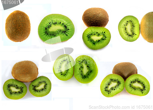 Image of Fresh kiwi 