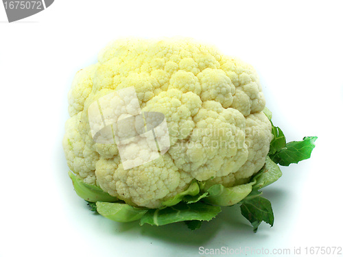 Image of Cauliflower