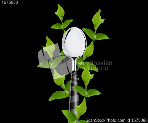 Image of green leaves around spoon 