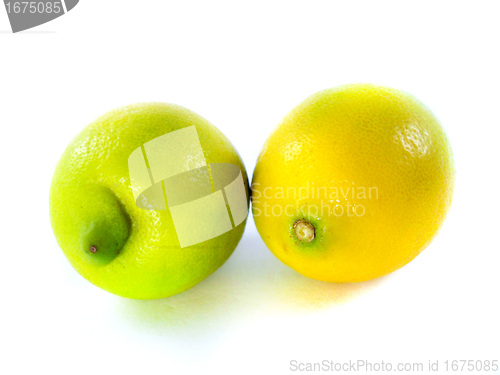 Image of Fresh Lemon