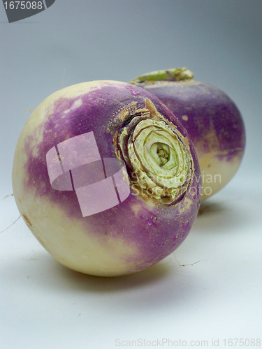 Image of purple headed turnips