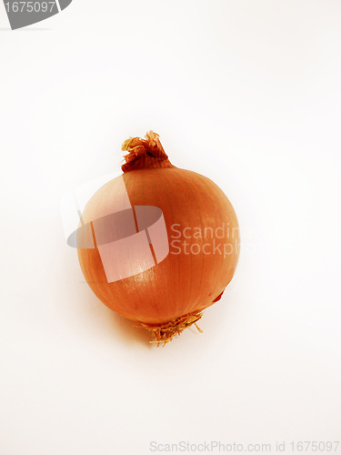 Image of onion