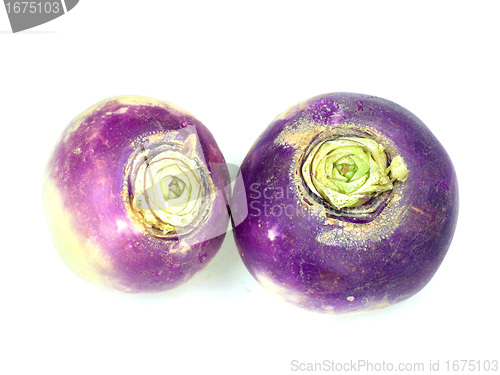 Image of purple headed turnips