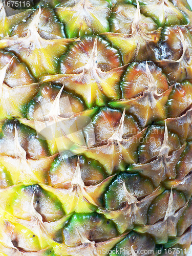 Image of Fresh pineapple