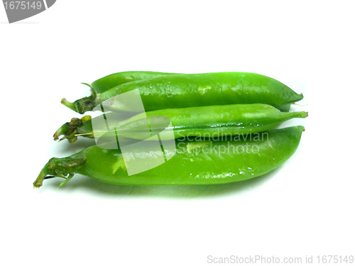 Image of bunch of broad beans 