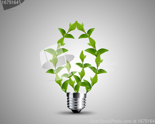 Image of light bulb concept