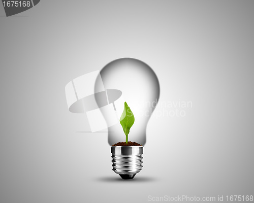 Image of light bulb concept