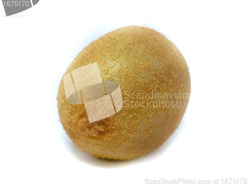 Image of Fresh kiwi 