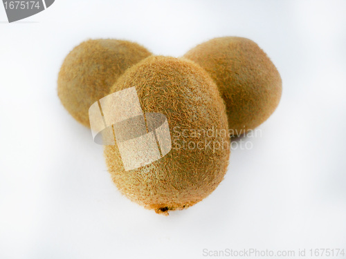 Image of Fresh kiwi 