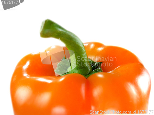 Image of Orange bell pepper 