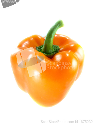 Image of Orange bell pepper 