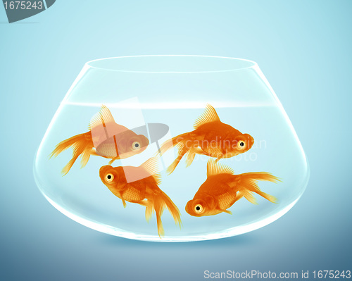 Image of goldfish in small bowl