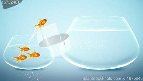 Image of goldfish  jumping to Big bowl