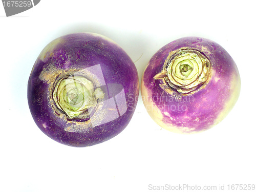 Image of purple headed turnips