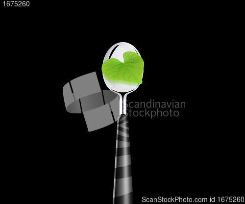 Image of green leaf and spoon 