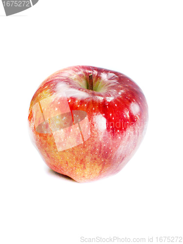 Image of fresh apple