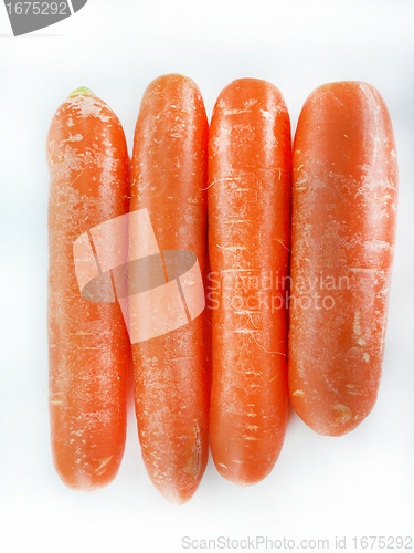 Image of fresh orange carrot