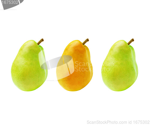 Image of fresh pear 