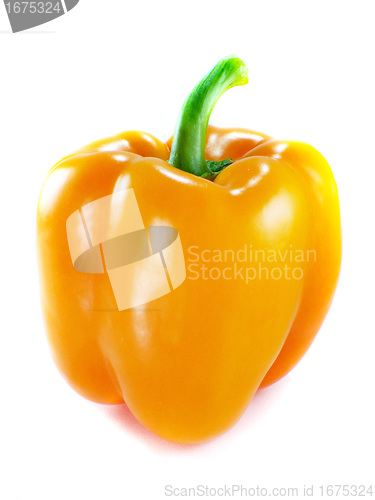 Image of Orange bell pepper 