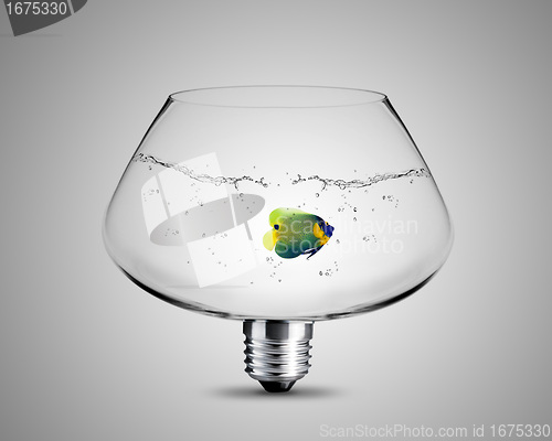 Image of light bulb concept