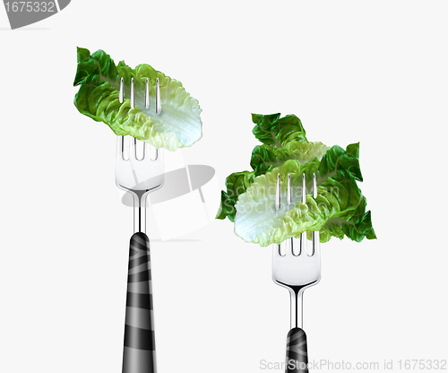 Image of Lettuce pierced by fork,  isolated on white background 