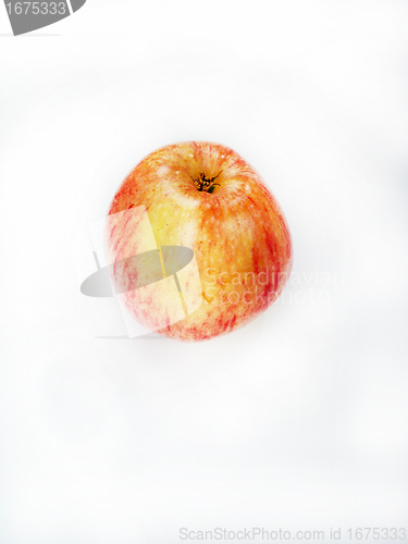 Image of fresh apple