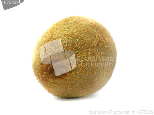 Image of Fresh kiwi 