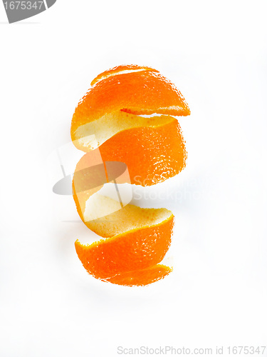 Image of Peel of an orange