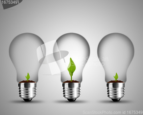 Image of light bulb concept