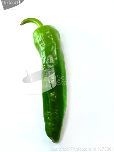 Image of green pepper