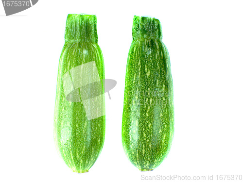 Image of fresh zucchini