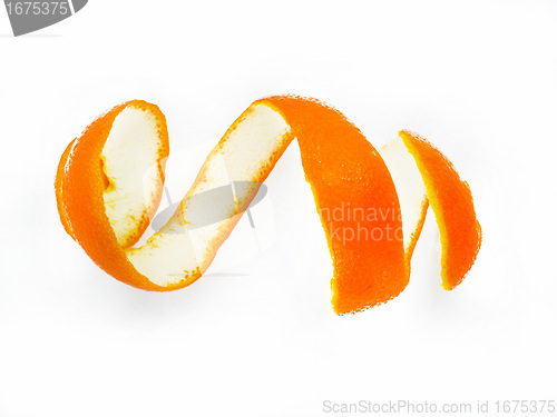 Image of Peel of an orange