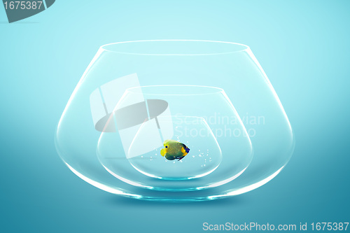Image of fish bowl