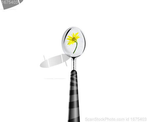 Image of green leaf and spoon 