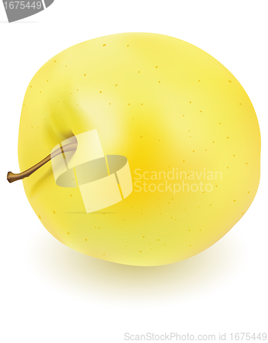 Image of Fresh yellow apple