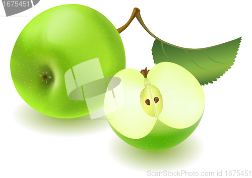 Image of Green apple and slice with leaf