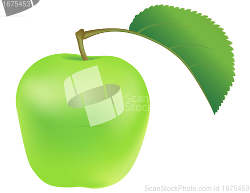 Image of Green apple with leaf