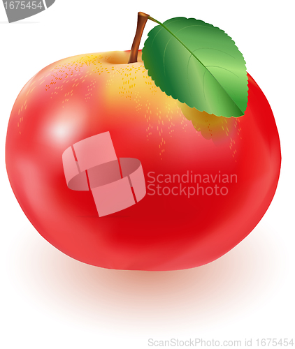 Image of Red apple with green leaf