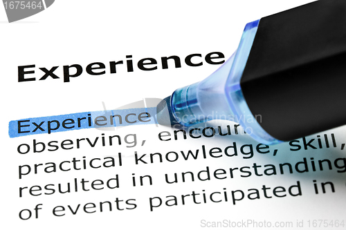 Image of Experience highlighted in blue