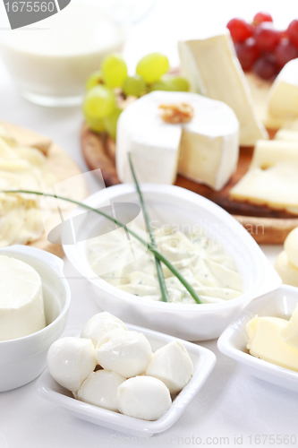 Image of Dairy products