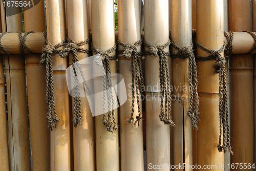 Image of bamboo fence