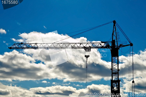 Image of Crane in the sky