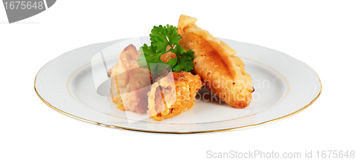 Image of plate of tuna patties