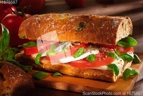 Image of tomato and mozzarella sandwich