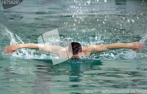 Image of swimmer