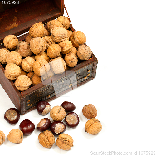 Image of chest with walnuts 