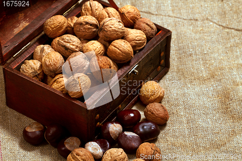 Image of chest with walnuts 
