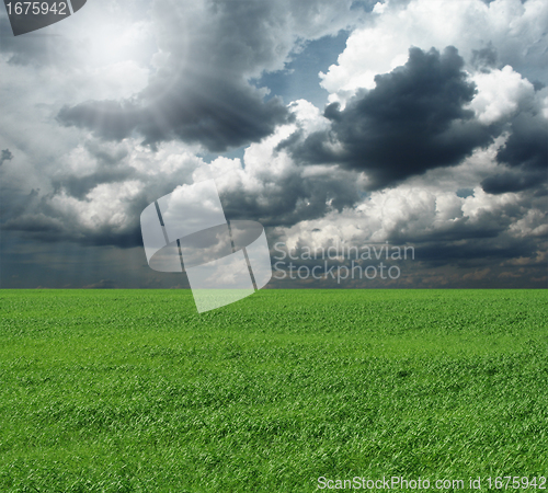 Image of green grass and blue cloudly sky