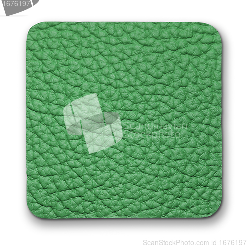 Image of piece of green leather